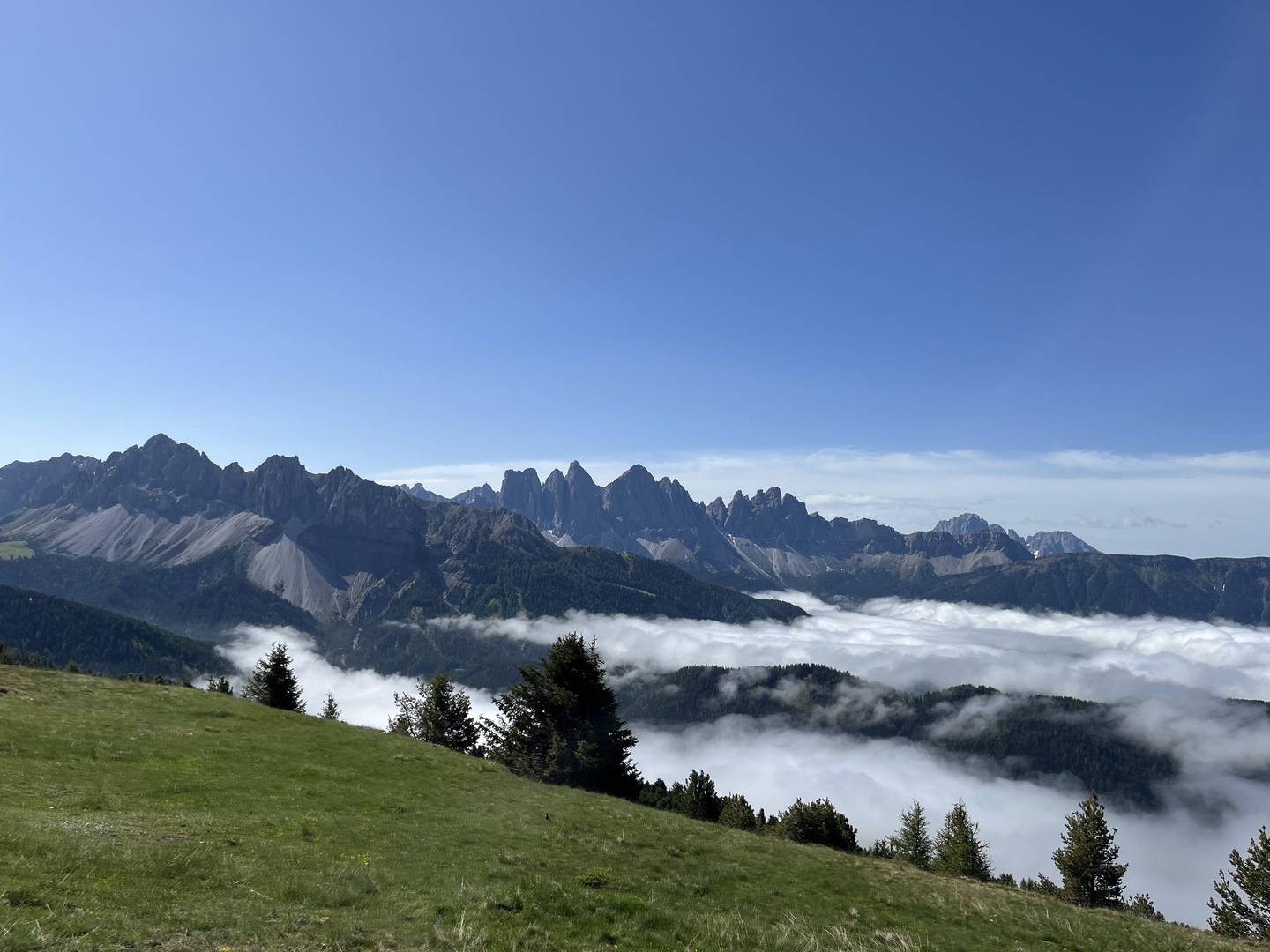 445d0f87-406d-4973-8900-969889bbd6aa 1